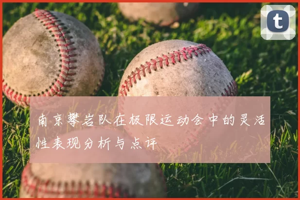 南京攀岩队在极限运动会中的灵活性表现分析与点评