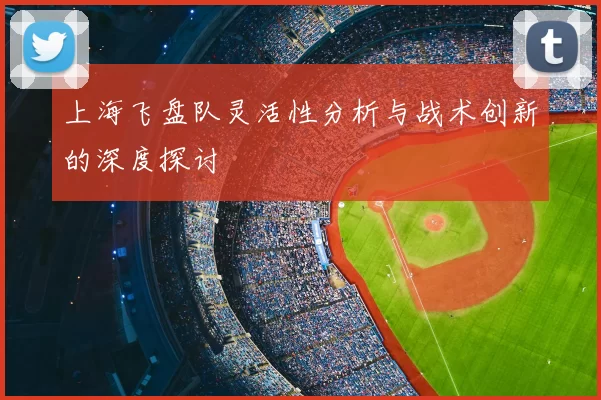 上海飞盘队灵活性分析与战术创新的深度探讨