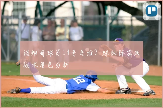 诺维奇球员14号是谁？球队阵容及战术角色分析
