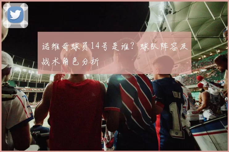 诺维奇球员14号是谁？球队阵容及战术角色分析