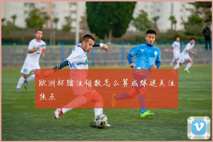 欧洲杯赌注倍数怎么算成球迷关注焦点