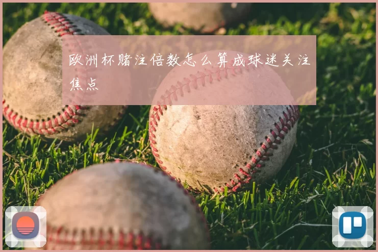 欧洲杯赌注倍数怎么算成球迷关注焦点