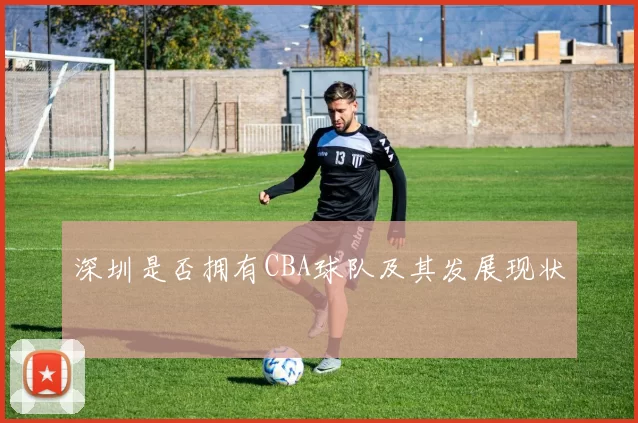 深圳是否拥有CBA球队及其发展现状