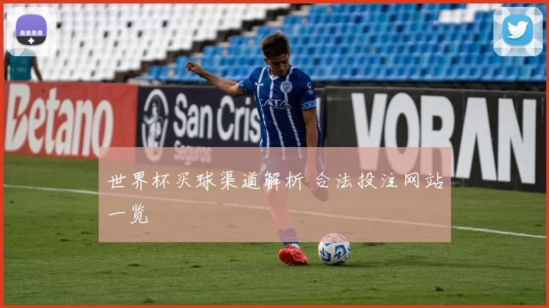 世界杯买球渠道解析 合法投注网站一览