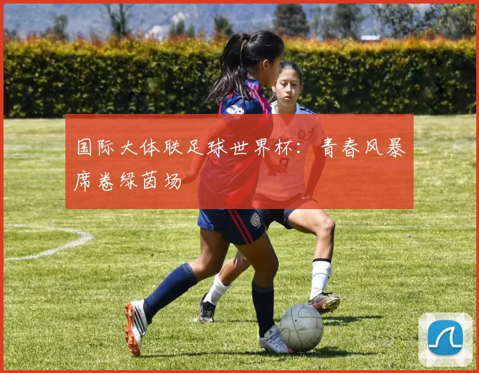 国际大体联足球世界杯:青春风暴席卷绿茵场